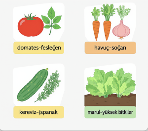 Bitki komşuluk ilişkileri
