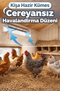 kümes kış yönetimi